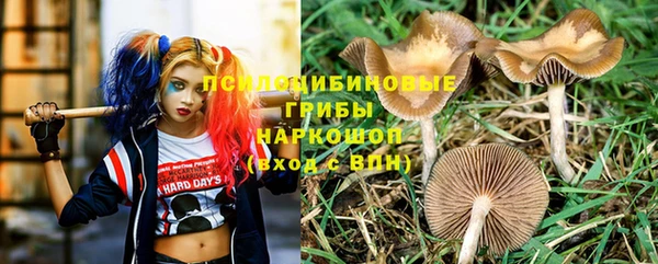 амф Сатка